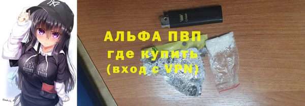 стафф Аркадак