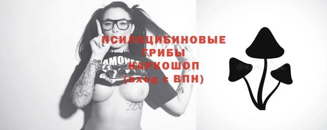 стафф Аркадак