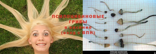 эйфоретик Балахна