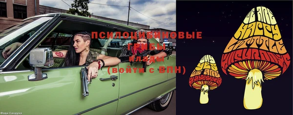 стафф Аркадак